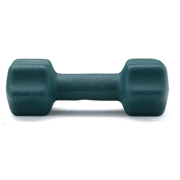 משקולת ציפוי נאורפרן 4 ק"ג NEOPRENE DUMBBELL