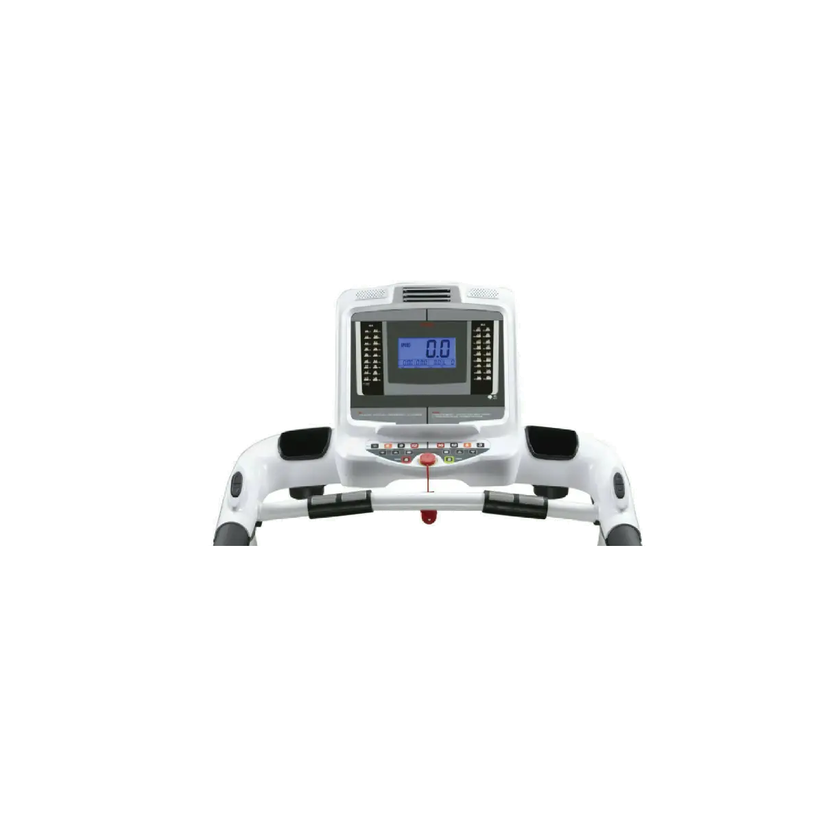 הליכון APOLLO