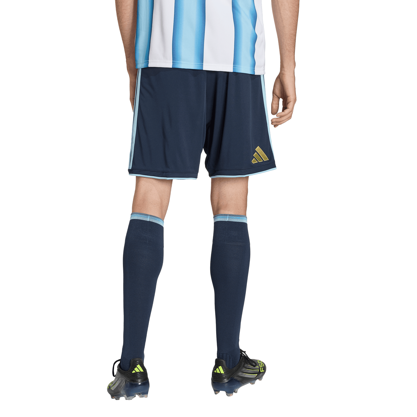 מכנסי כדורגל ארגנטינה קצרים - גברים