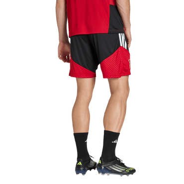 מכנסי כדורגל קצרים - גברים