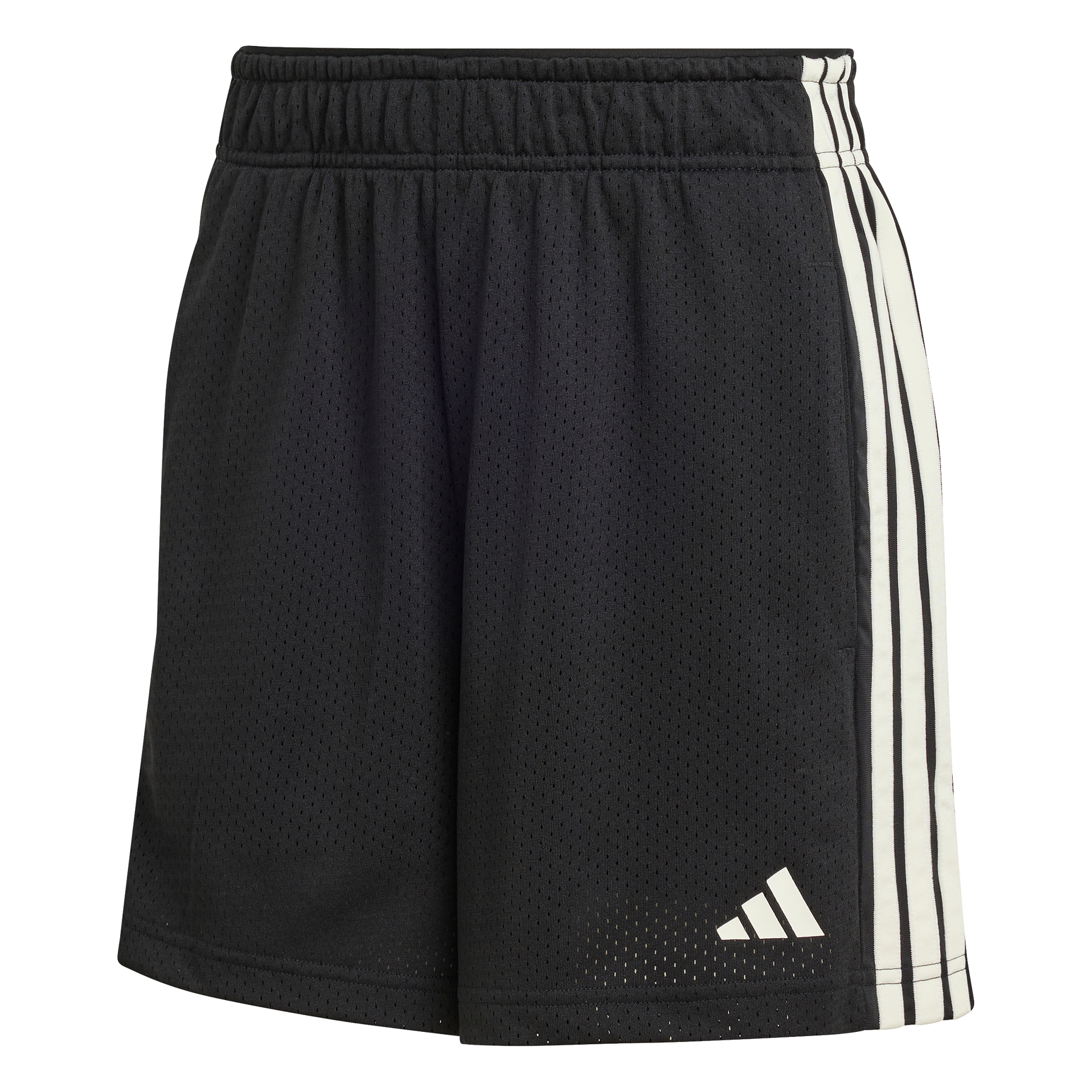 מכנסיים קצרים - נשים